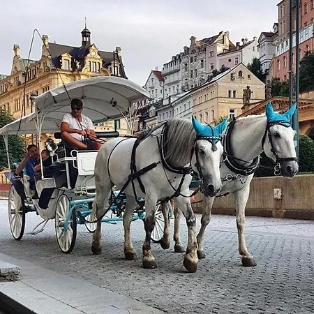 Ferdinandhof アパートホテル